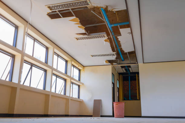 Best Flood damage cleanup  in Strum, WI