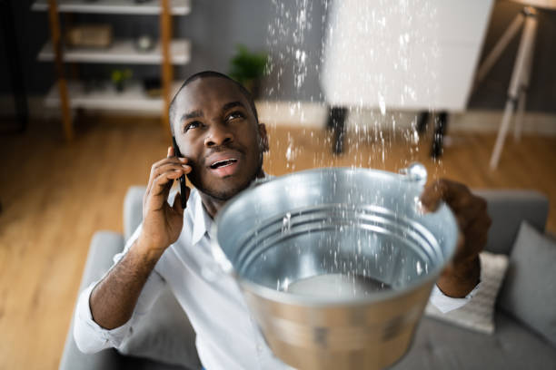 Best Professional water damage repair  in Strum, WI