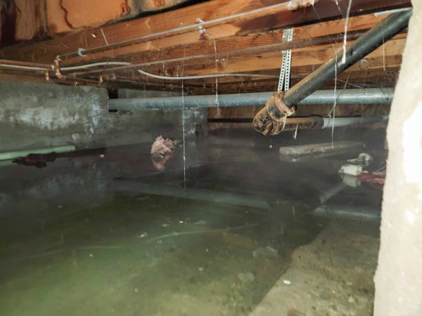 Best Sewage cleanup and water damage restoration  in Strum, WI