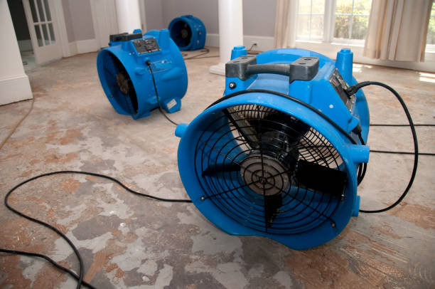 Best Water damage restoration near me  in Strum, WI