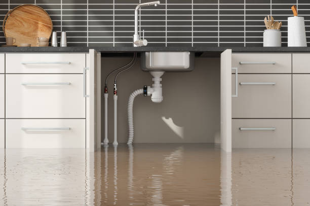 Best Water damage contractors near me  in Strum, WI