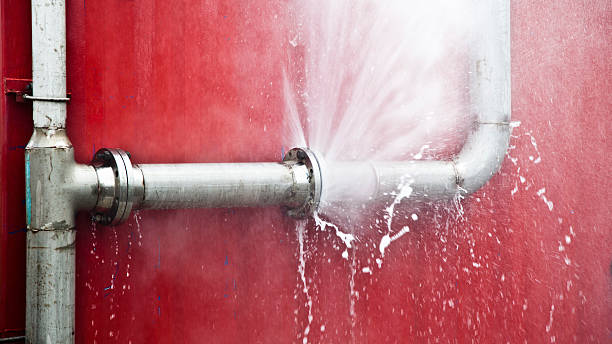 Carpet water damage restoration in WI